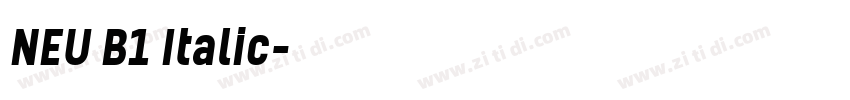 NEU B1 Italic字体转换 NEU B1 Italic字体转换